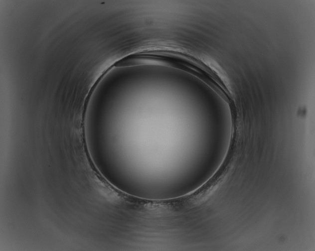 X0000090421089200707131203