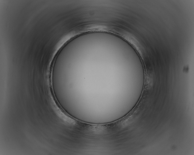 X0000090421090200707131203