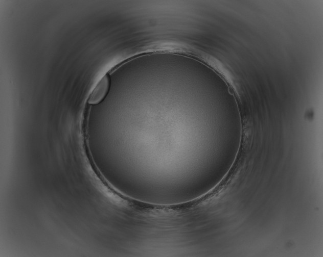 X0000090421091200707131203