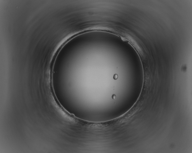 X0000090421092200707131203