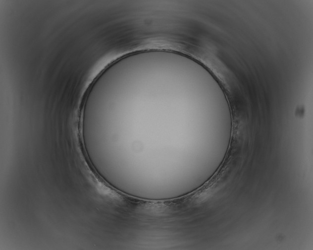 X0000090421094200707131203