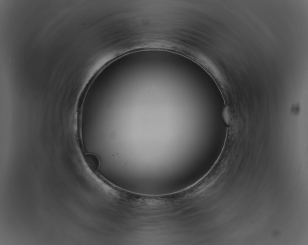 X0000090421095200707131203