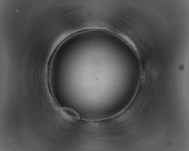 X0000090421096200707131203
