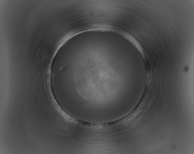 X0000090421099200707131203