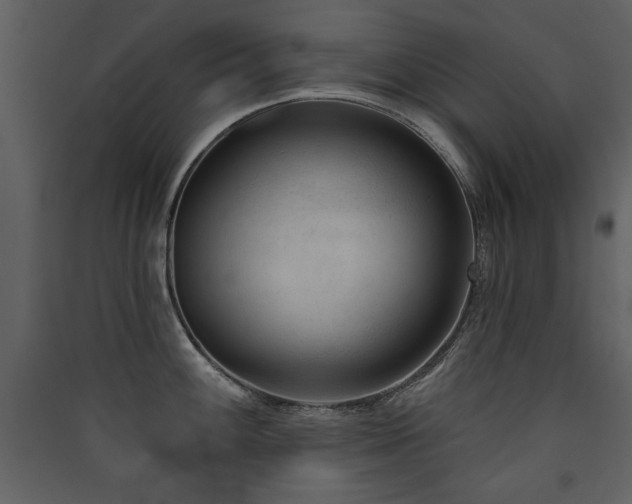 X0000090421100200707131203