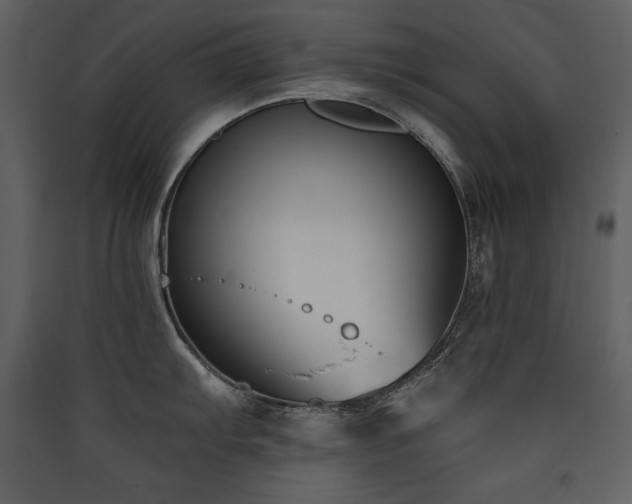 X0000090421103200707131203