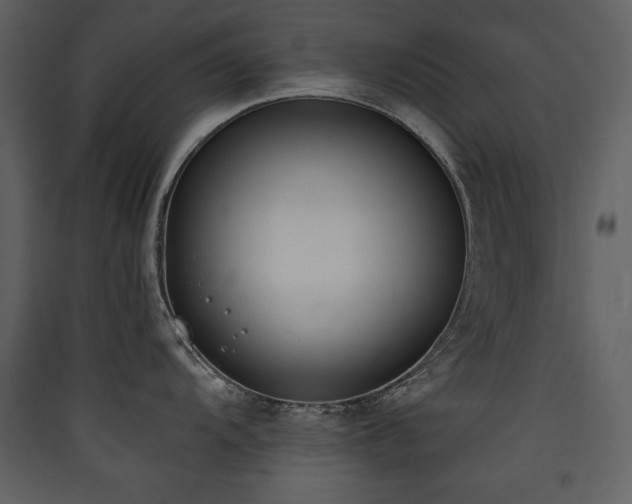 X0000090421104200707131203