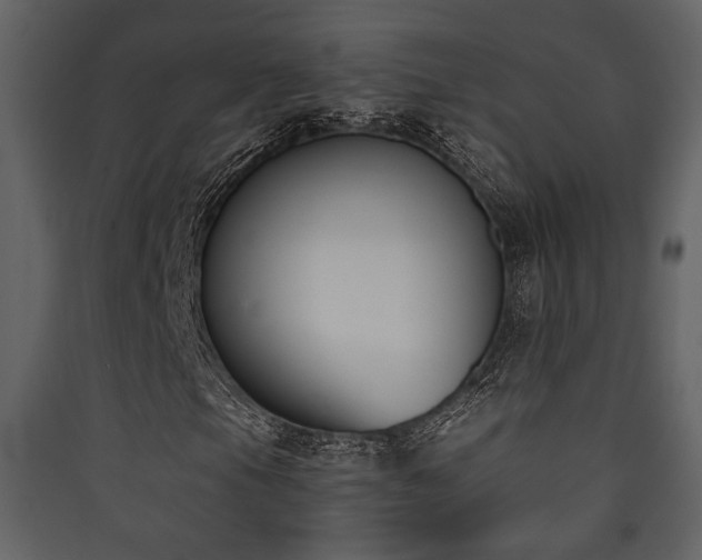 X0000090421105200707131202
