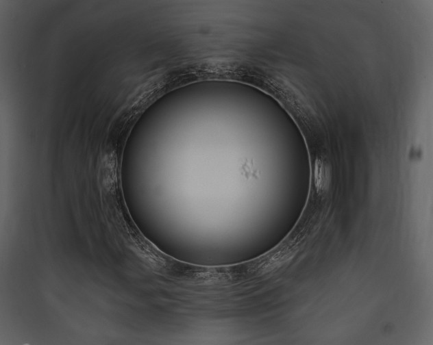 X0000090421107200707131202