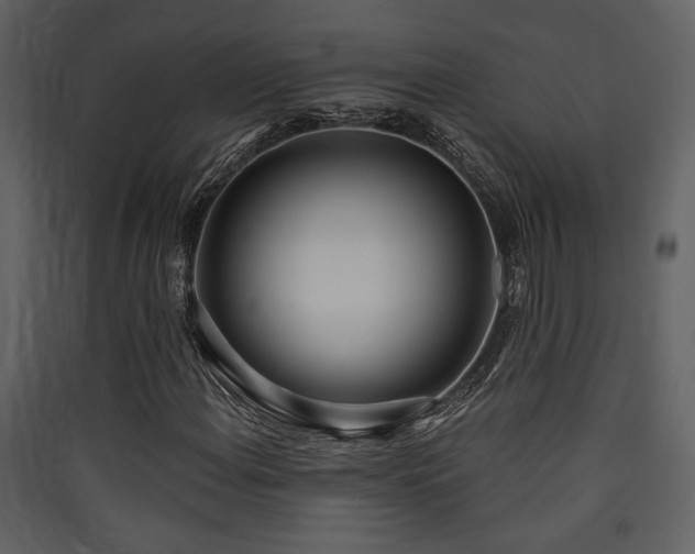 X0000090421108200707131202