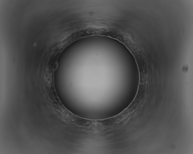 X0000090421109200707131202