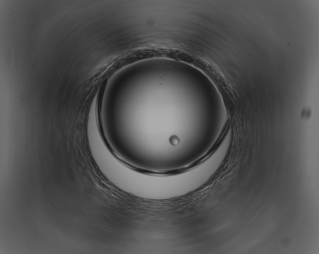X0000090421110200707131202