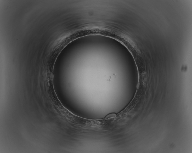 X0000090421111200707131202