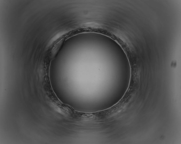X0000090421112200707131202