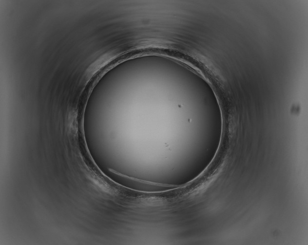 X0000090421113200707131203