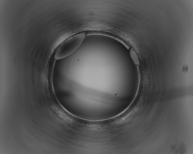X0000090421114200707131203