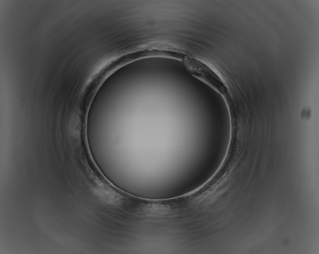 X0000090421115200707131203