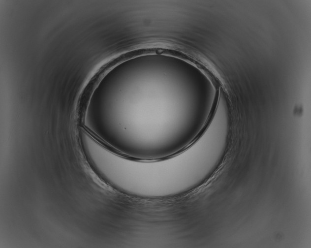 X0000090421116200707131203
