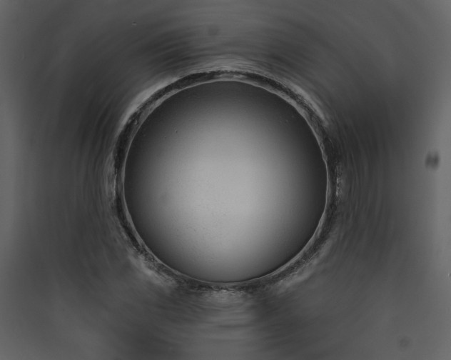 X0000090421117200707131203