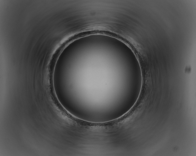 X0000090421118200707131203