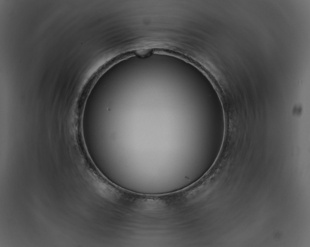 X0000090421119200707131203