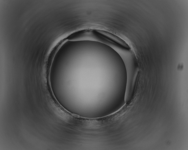 X0000090421120200707131203