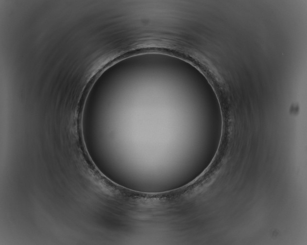 X0000090421121200707131203