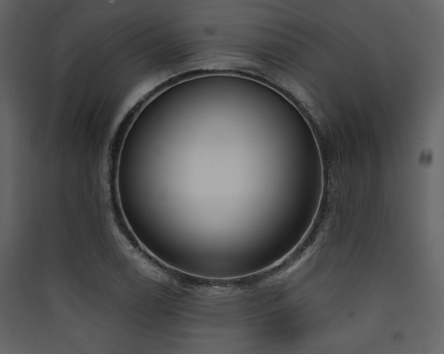 X0000090421122200707131203