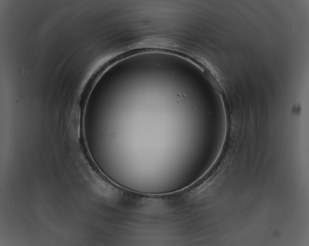 X0000090421123200707131203