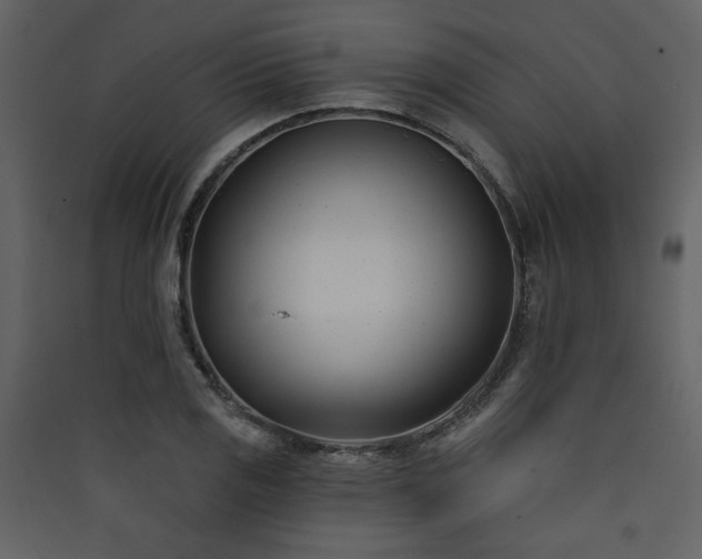 X0000090421125200707131203