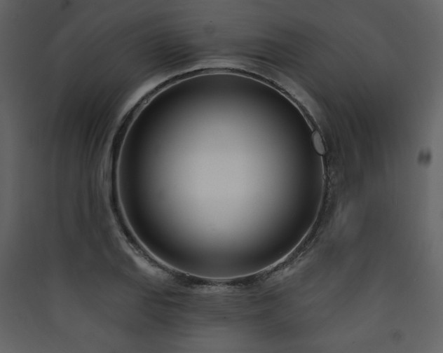 X0000090421127200707131203