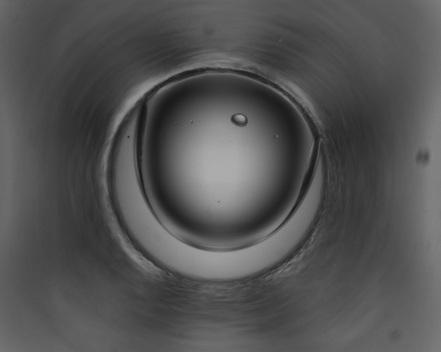 X0000090421128200707131203