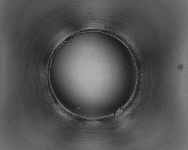 X0000090421129200707131203