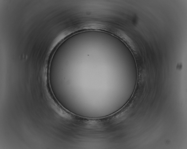 X0000090421130200707131203