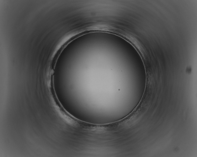 X0000090421131200707131203