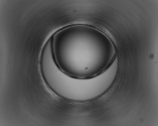 X0000090421132200707131203