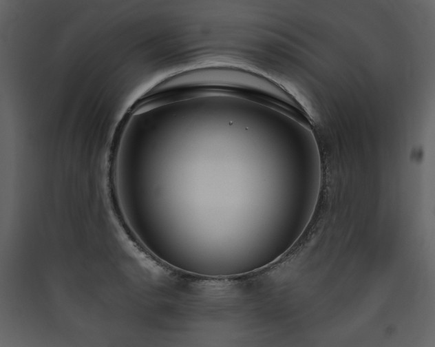X0000090421134200707131203