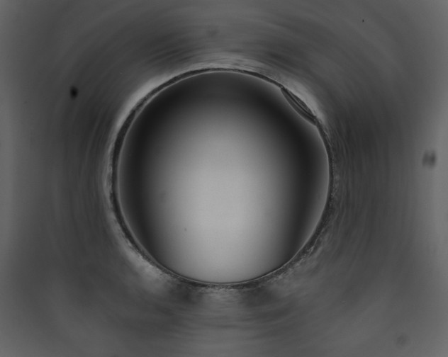 X0000090421136200707131203