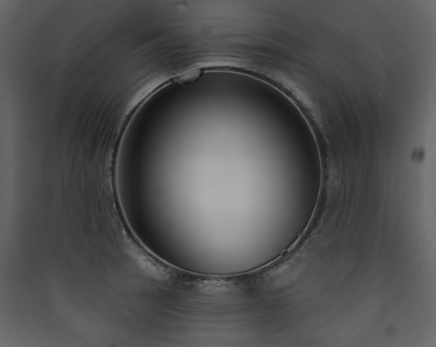 X0000090421137200707131203