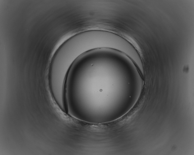 X0000090421138200707131203