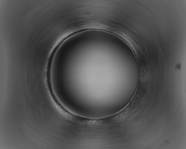 X0000090421139200707131203