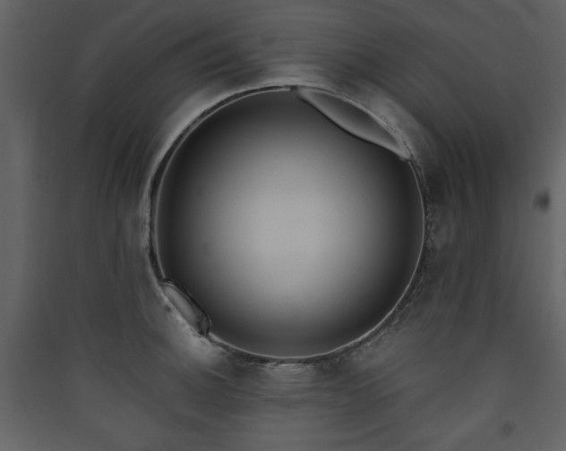X0000090421140200707131203