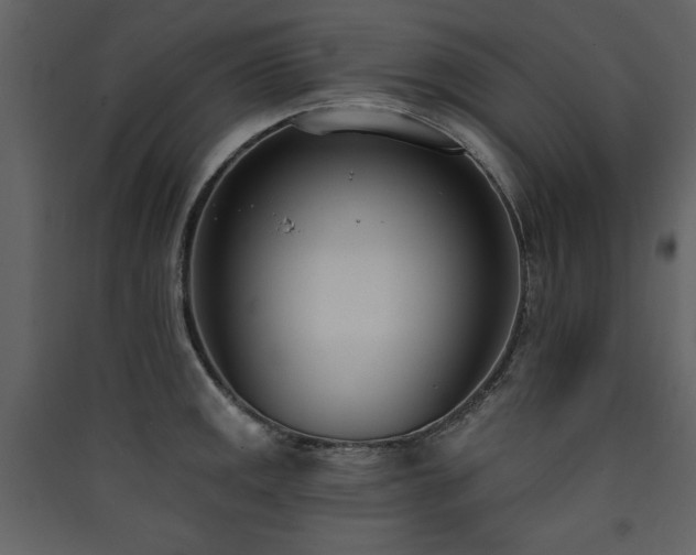 X0000090421141200707131203