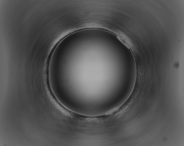X0000090421142200707131203