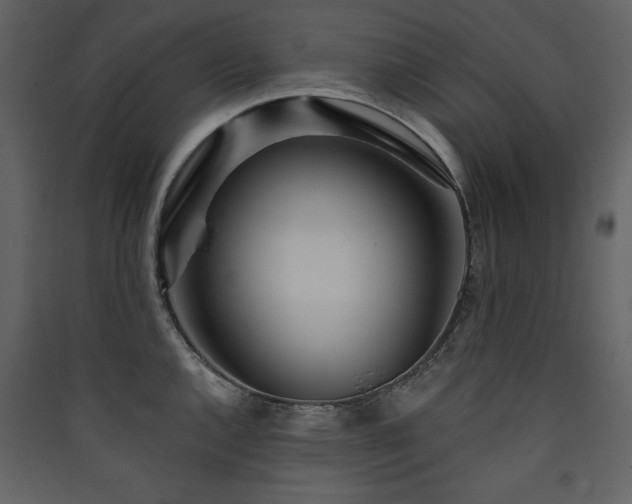 X0000090421144200707131203
