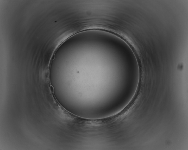X0000090421145200707131203