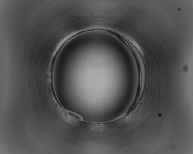 X0000090421148200707131203