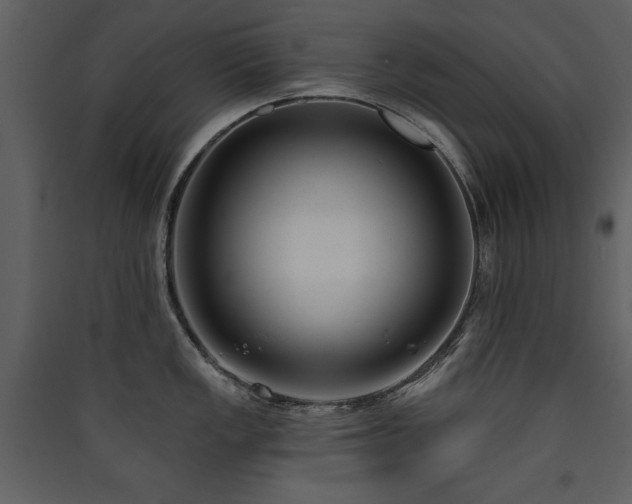 X0000090421149200707131203