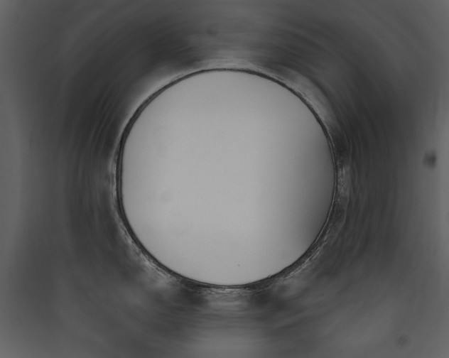 X0000090421150200707131203