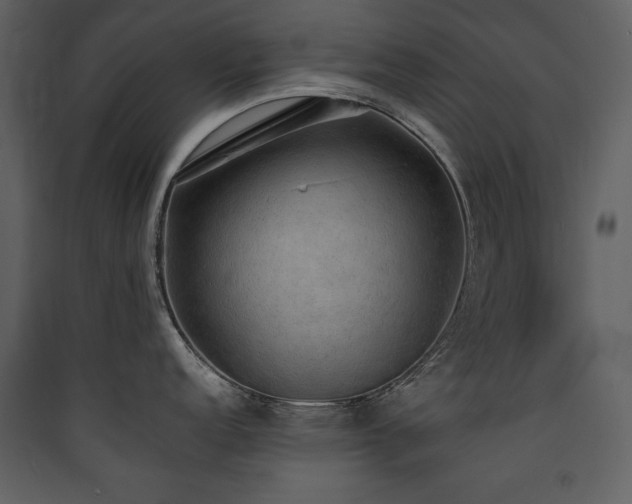 X0000090421152200707131203